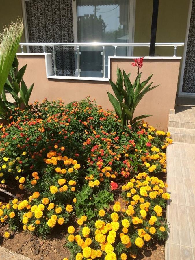 Esmeralda Apart Butik Otel Kızılot Eksteriør bilde